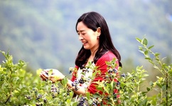 人妖又长又粗又大的巴